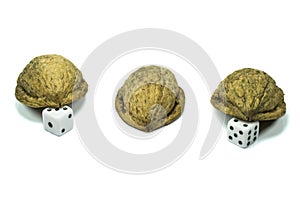 Nutshells with dice