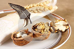 Nutshells on a plate