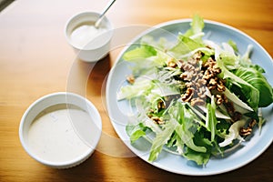 nutty cashew dressing on chicory salad, walnut crust