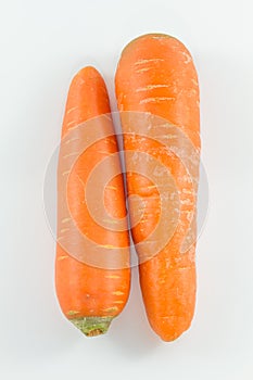 Nutural Color and Fresh Carrot.
