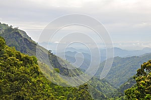 Nuwara Eliya, Central Province Sri Lanka