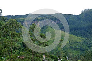 Nuwara Eliya tea plantations. Sri lanka