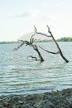 Nuwara wawa lake stock image