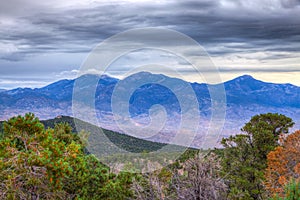 NV-Great Basin National Park-Osceola Ditch Trail