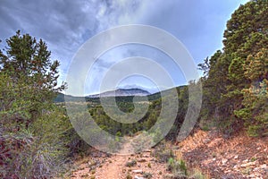 NV-Humboldt-Toiyabe National Forest-Spring Mountains National Recreational area-Mt. Charleston