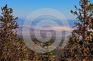 NV-Humboldt-Toiyabe National Forest-Spring Mountains National Recreational area-Mt. Charleston