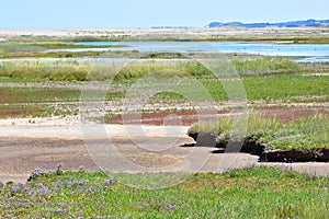 NWT Cley Marshes, Norfolk, England