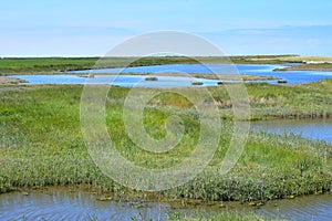 NWT Cley Marshes, Norfolk, England