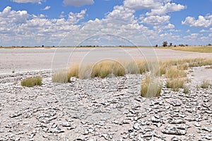 Nxai pan,Botswana