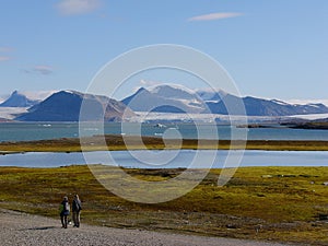 Ny Alesund on Spitsbergen - landscape