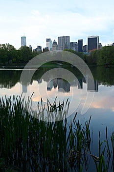 NY buildings from Central Park