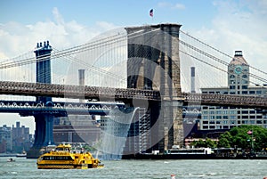 NYC: Brooklyn Bridge