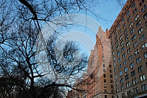 Nyc buildings on fifth ave