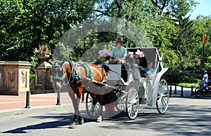 NYC: Central Park Hansom Cab
