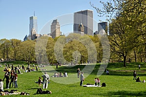 NYC: Central Park Sheep Meadow