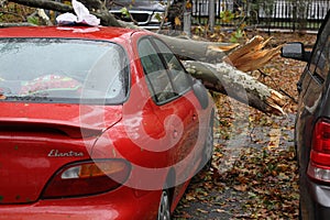 NYC Damage - Hurricane Sandy