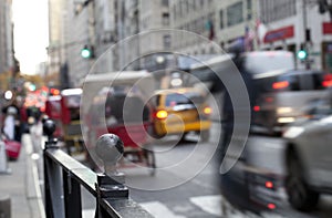 NYC Pedicabs