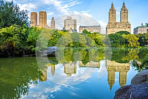 NYC skyline in Central Park