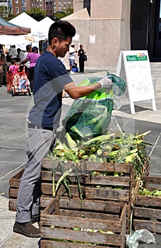 NYC: Worker at Harlem Farmer's Market