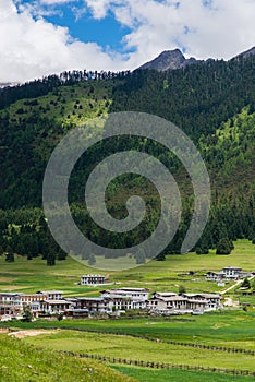 Houses, Grassland, Forests, and Mountains in Lunang, Nyingchi, Tibet