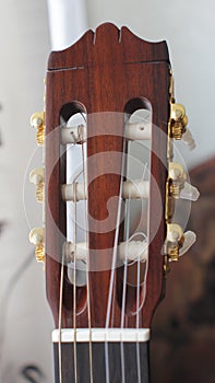 Nylon Concert Guitar Headstock Detail