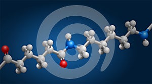 Nylon 3D structure, repeating of amide links