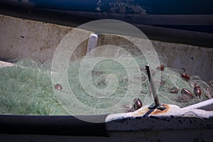 A Nylon fishing net in a small boat moored in the Acre Harbor