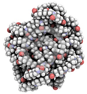 Nylon (nylon 6, 6, polyamide)