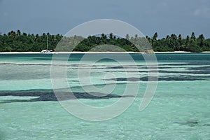 Nylon Pool south of Buccoo Reef in the Caribean sea on Tobago