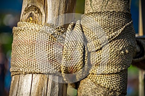 Nylon ribbon knotted on a tree