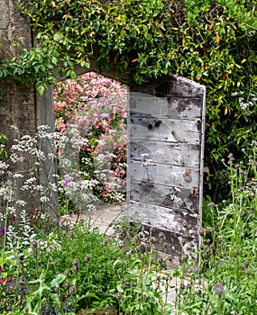 Nymans Gardens in Handcross, West Sussex UK. The picturesque gardens surround the ruins of an old mansion.