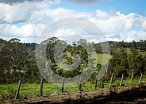 Nymboida Countryside, horizontal