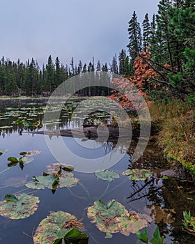 Nymph Lake