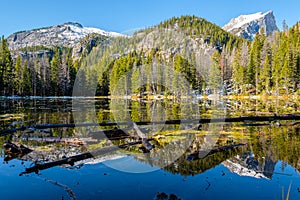 Nymph Lake, Rocky Mountains, Colorado, USA.