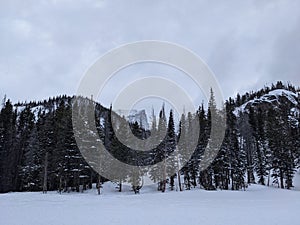 Nymph Lake winter Rocky Mountain National Park