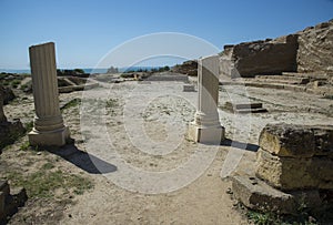 Remains of excavated walls in Nymphaion, Crimea photo