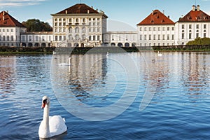 The Nymphenburg Palace in Munich. Bavaria. Germany. Beautiful white Swans On Lake water- peaceful scene, romance, seasonal postcar