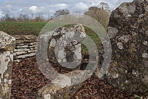 Nympsfield longbarrow 3,500 BC | Long Barrow