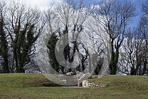 Nympsfield remains neolithic longbarrow england