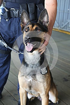 NYPD counter terrorism bureau K-9 dog providing security in New York