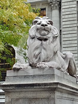 NYPL Lion