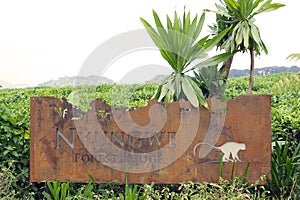 Nyungwe Forest Lodge