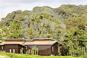 Nyungwe Forest Lodge