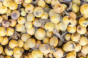 NÃ­spero, nipero or mespel Japanese medlar fruit, taken in a market in Peru.