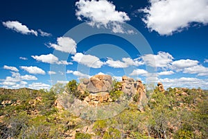 O'Brien's Creek Landscape