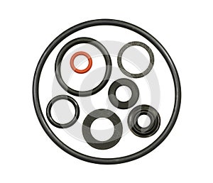 O-ring gasket