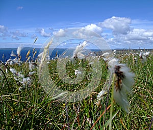 The Oa Peninsula, Islay, Scotland photo