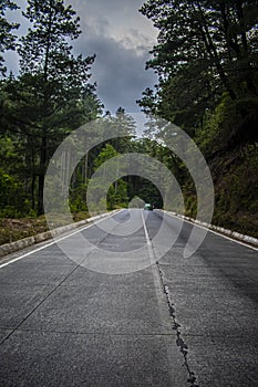 oad in the middle of a pine forest with large trees with clouds with a car in the middle