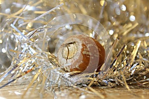 Oak acorn closeup in decorations