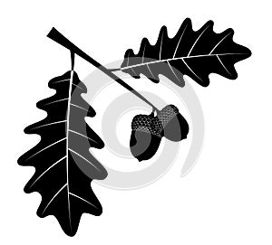 oak acorns with leaves black outline silhouette vector illustration